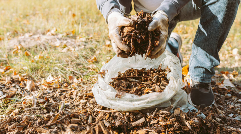 Winterizing Your Garden - Dr Earth